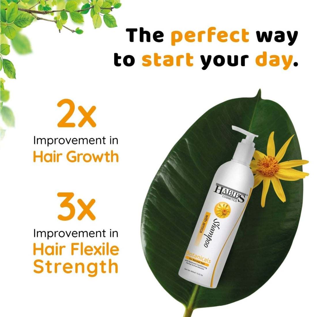 Normal Hair Shampoo - Habibs Orgamatics