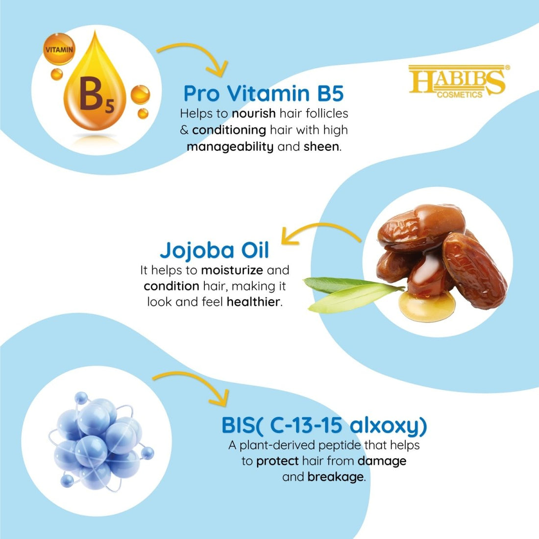 Dry Hair Shampoo - Habibs Orgamatics