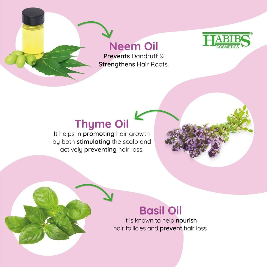 Anti - Dandruff Shampoo - Habibs Orgamatics