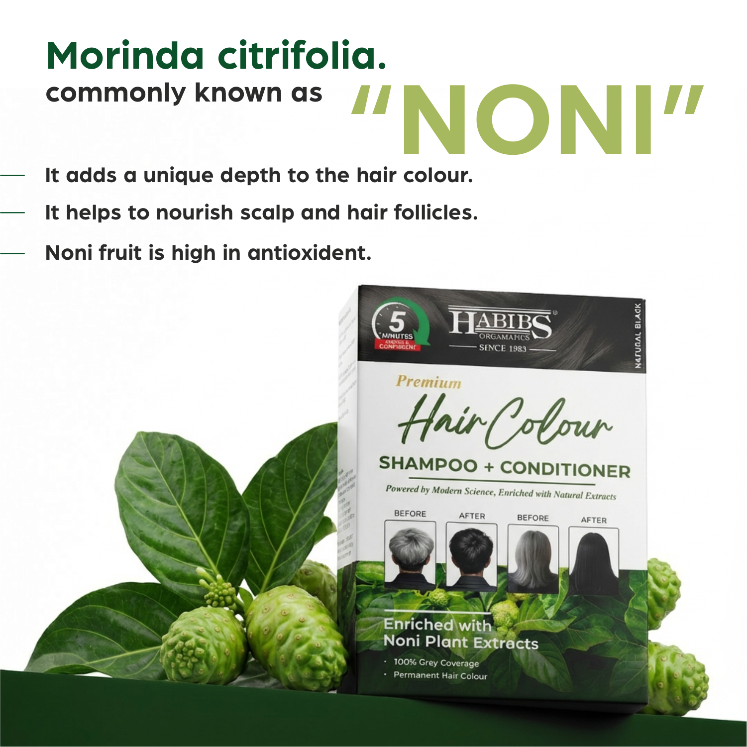 Hair Colour Shampoo + Conditioner