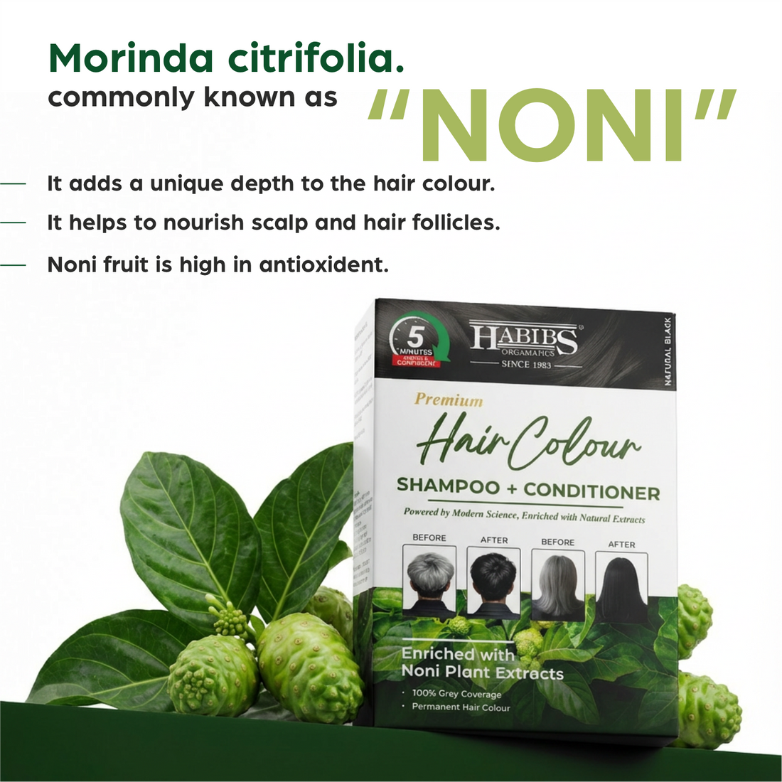 Hair Colour Shampoo + Conditioner