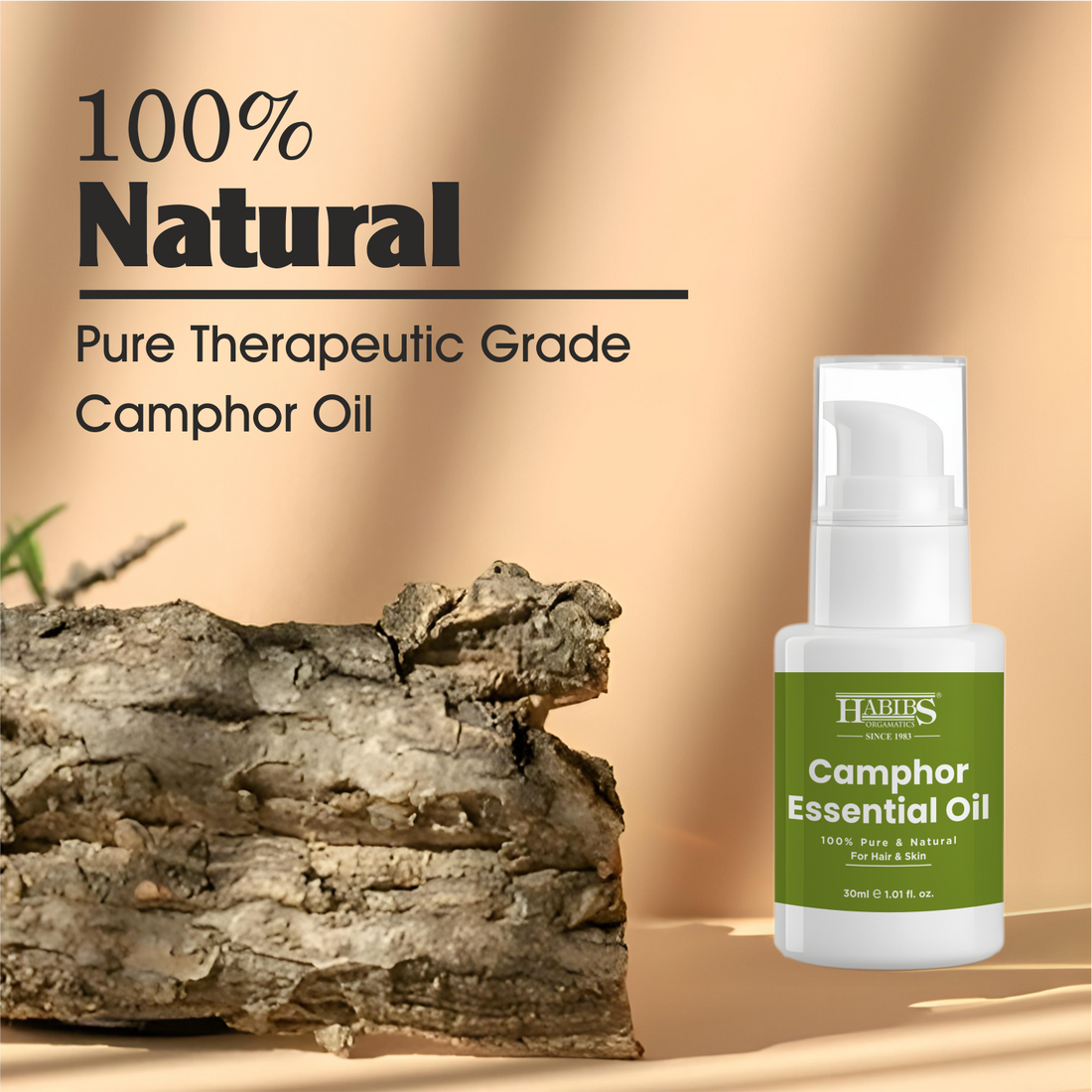 Camphor Essential Oil
