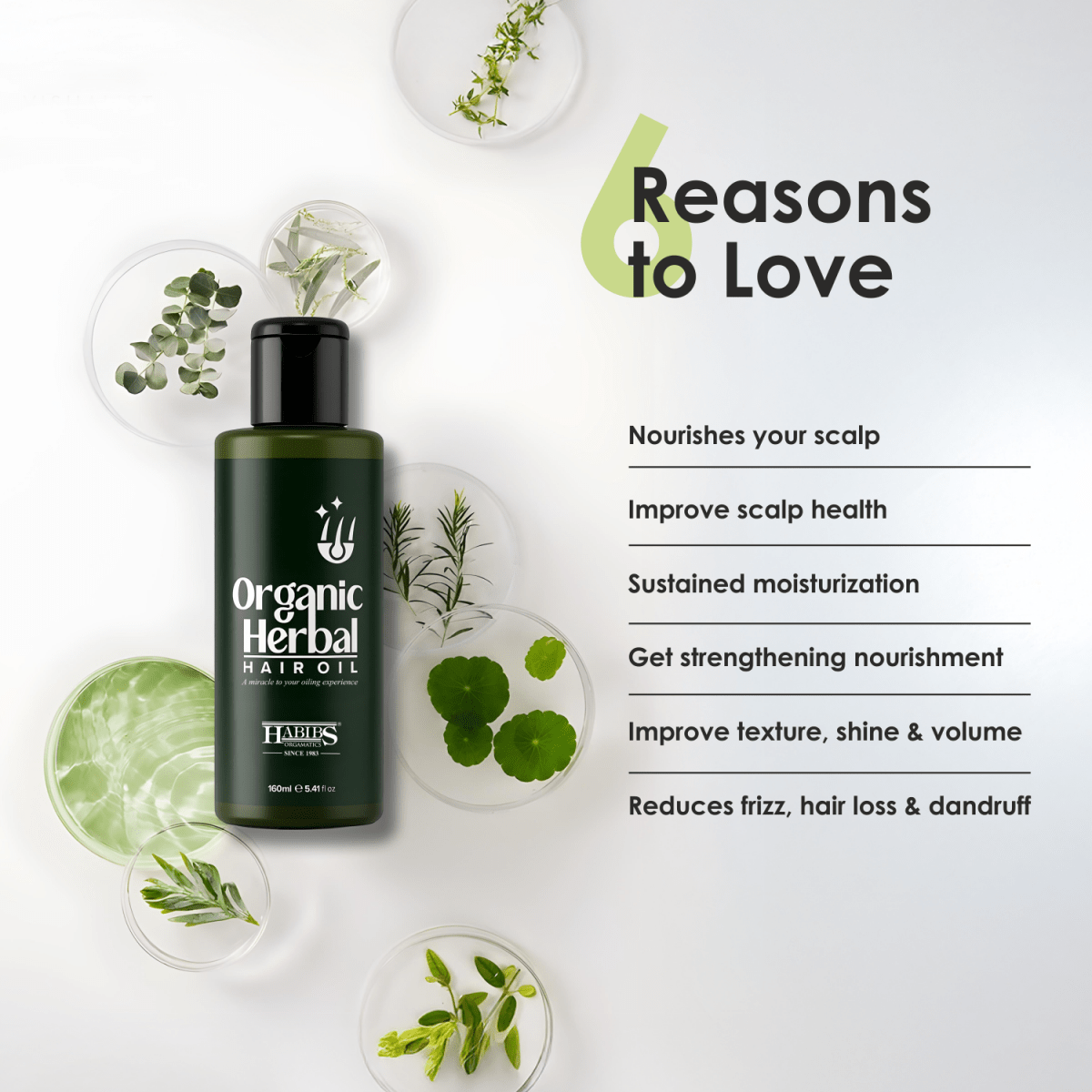 Herbal Hair Oil - Habibs Orgamatics