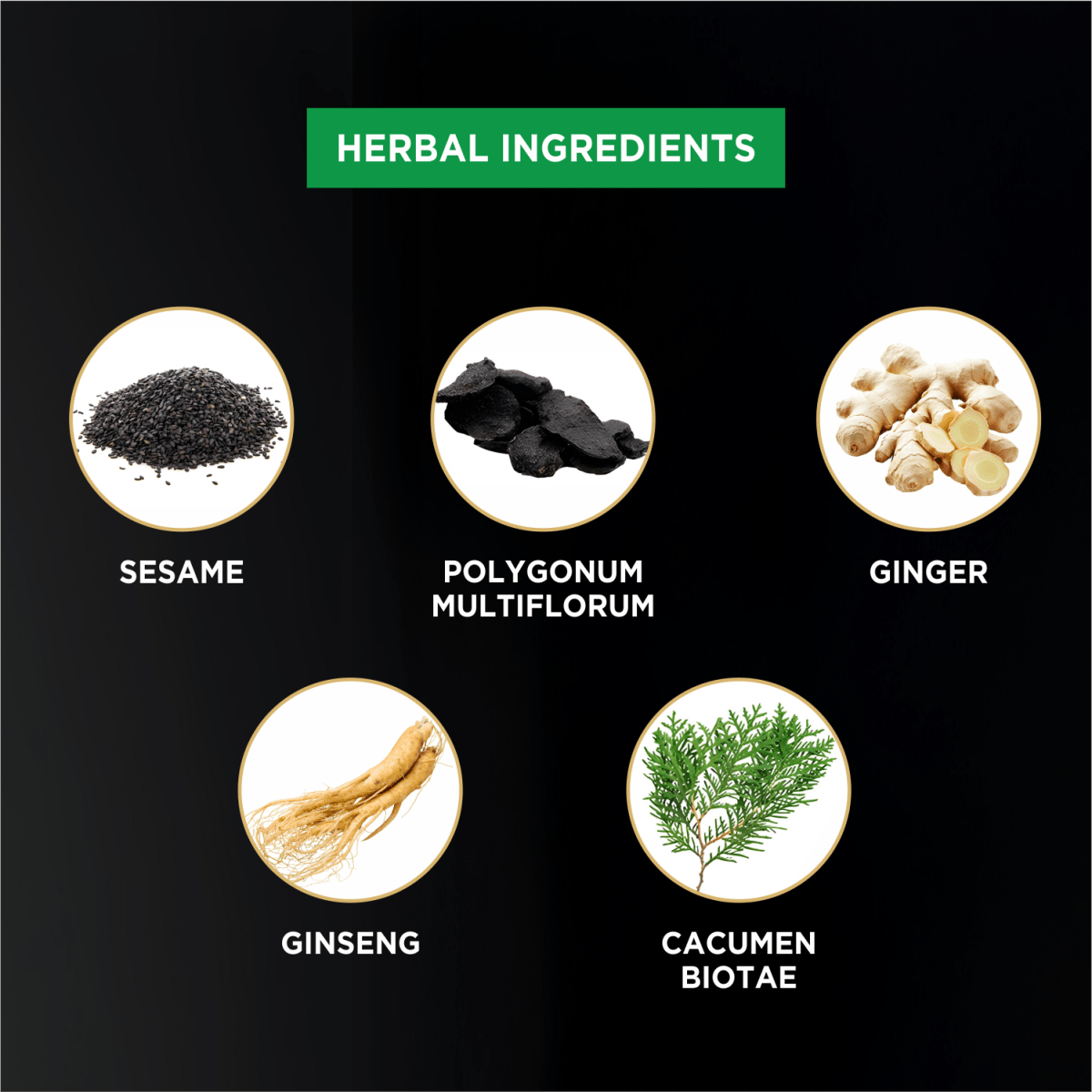 Hair Color Shampoo - Habibs Orgamatics