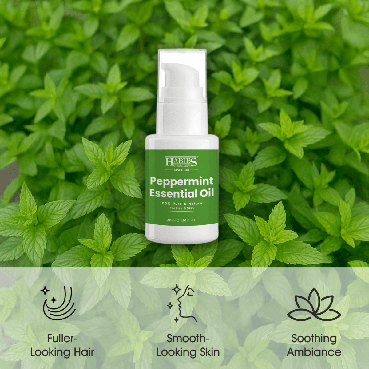 Peppermint Essential Oil - Habibs Orgamatics