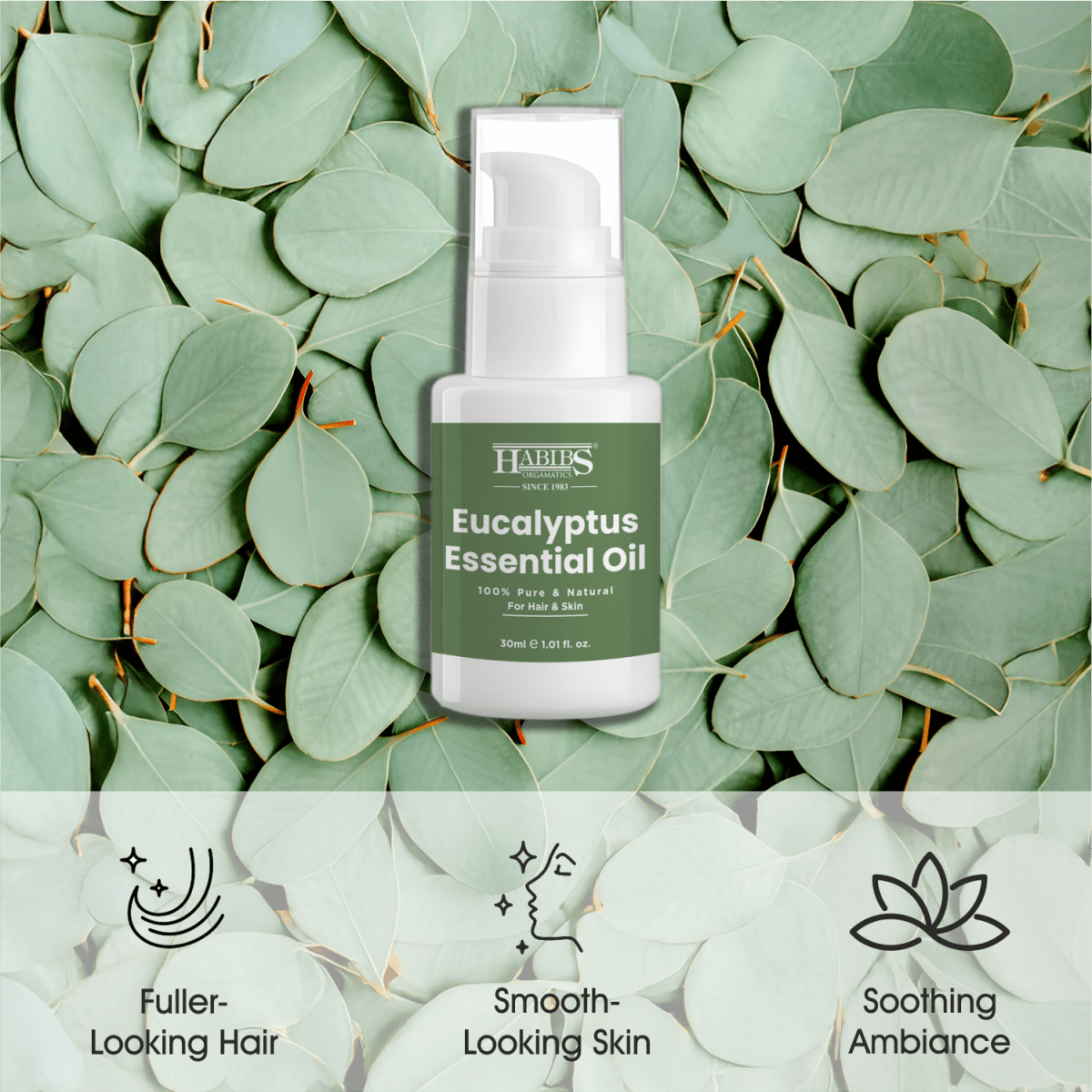 Eucalyptus Essential Oil - Habibs Orgamatics
