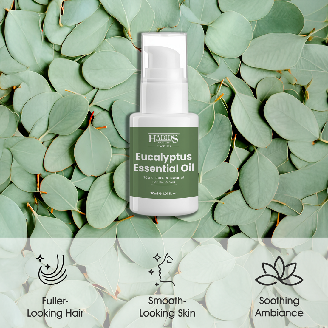 Eucalyptus Essential Oil