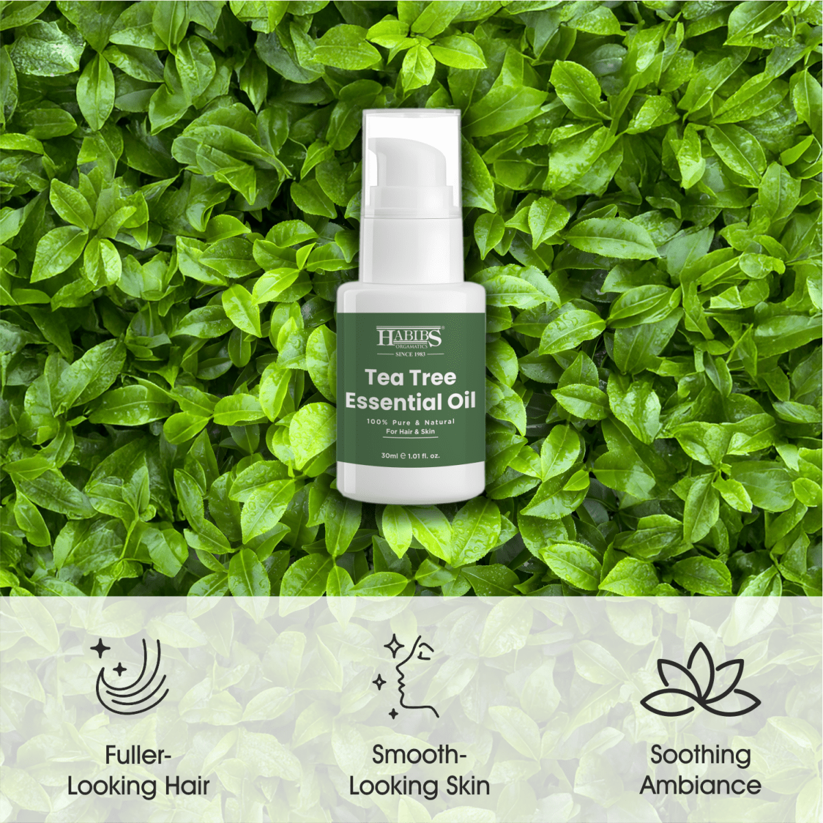 Tea Tree Essential Oil - Habibs Orgamatics