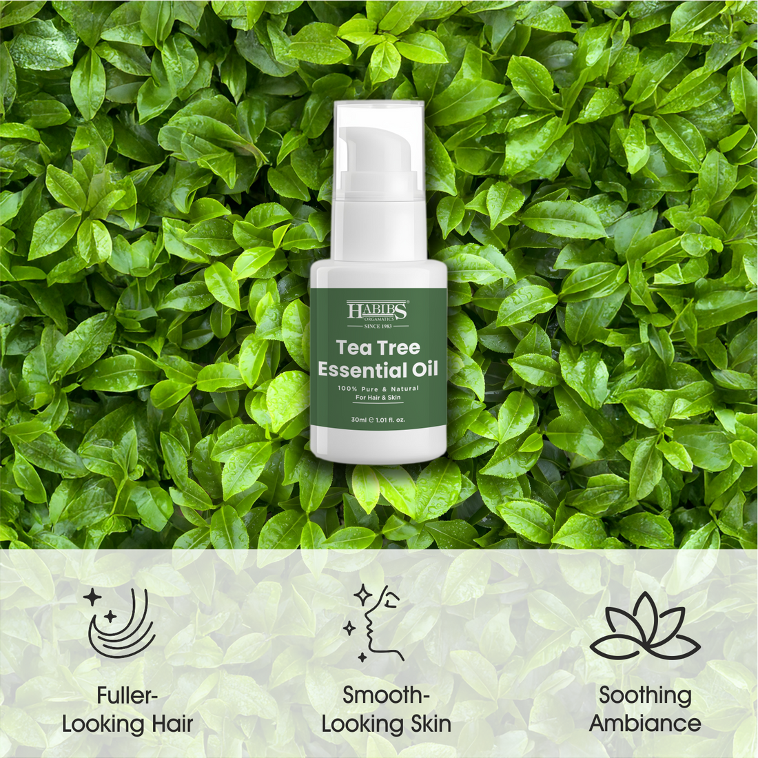Tea Tree Essential Oil