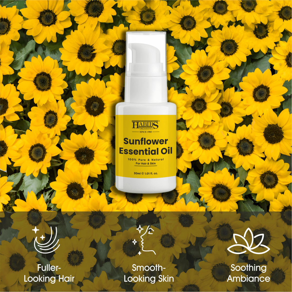 Sunflower Essential Oil - Habibs Orgamatics