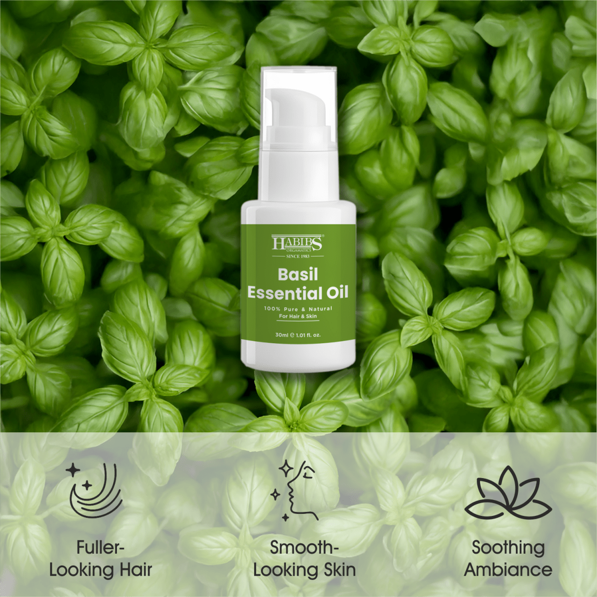 Basil Essential Oil - Habibs Orgamatics