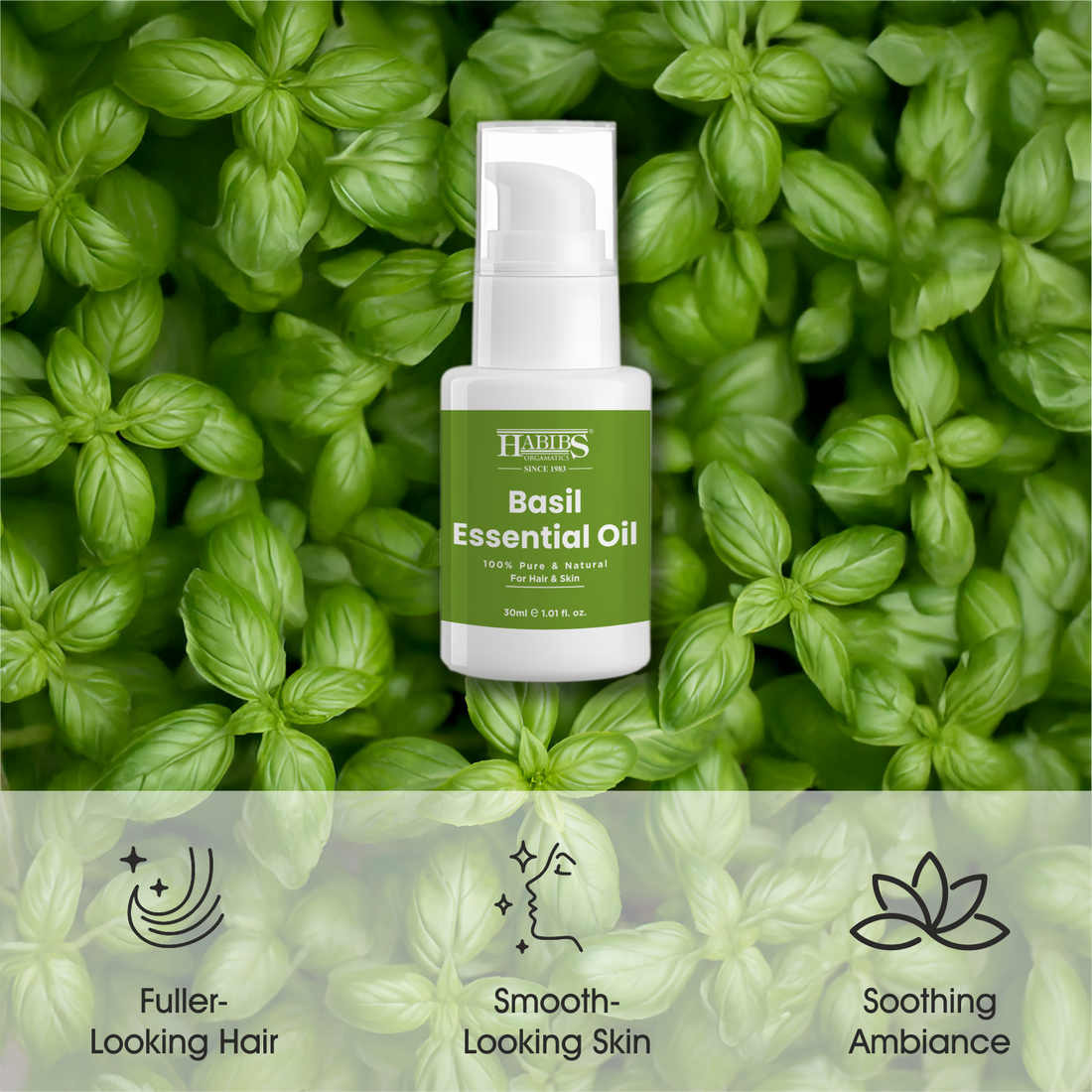 Basil Essential Oil