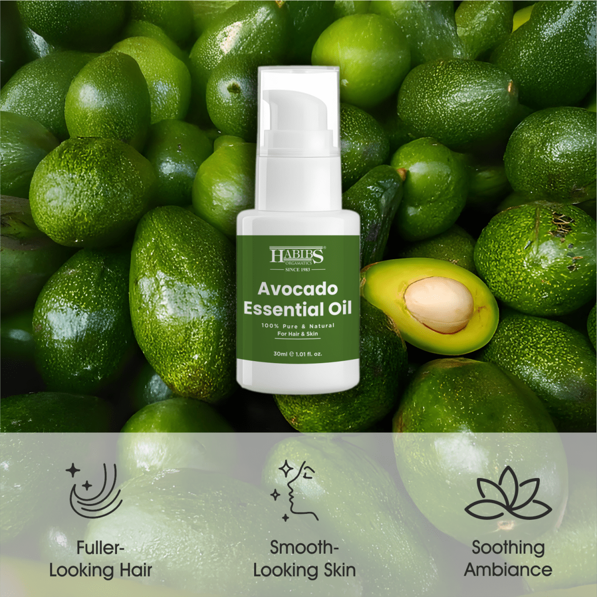 Avocado Essential Oil - Habibs Orgamatics