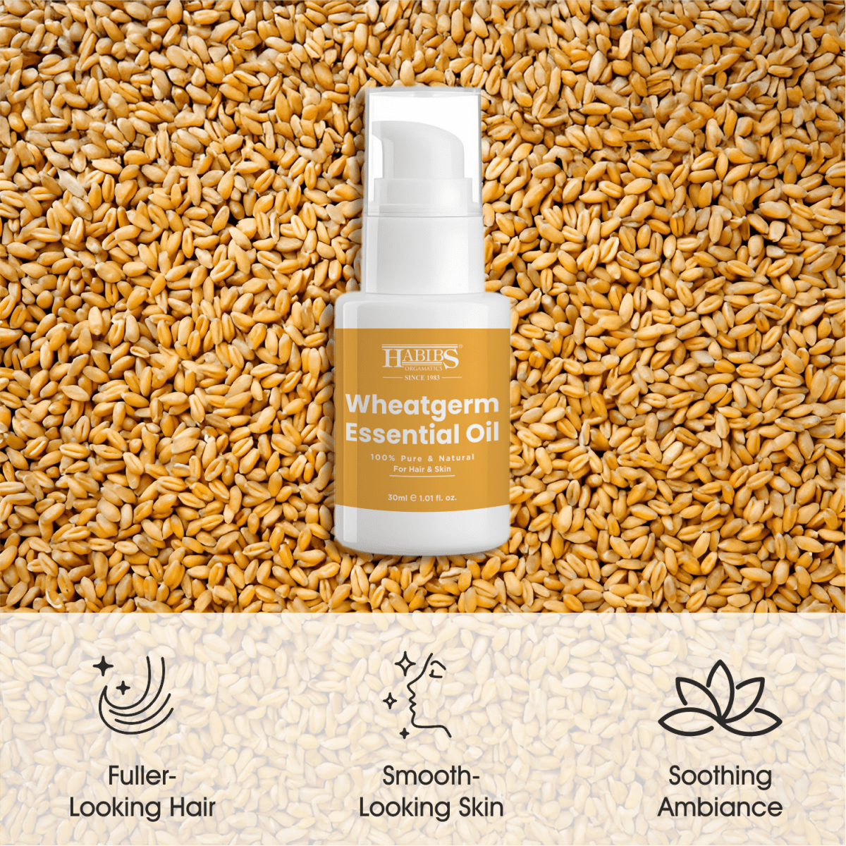 Wheatgerm Essential Oil - Habibs Orgamatics